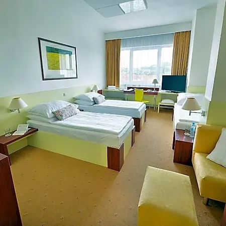 Hotel Grand Litava 4*