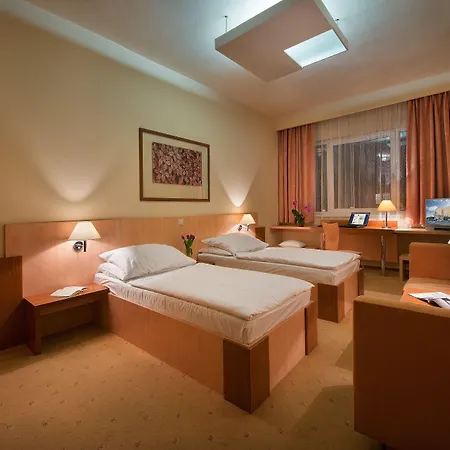 Grand Litava Hotel 4*