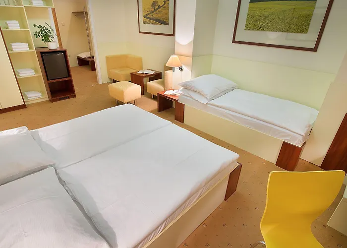 Hotell Grand Litava Beroun (Central Bohemian)